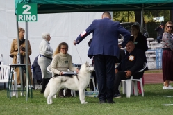 Colt Międzynarodowa Wrocław 29.09.2024